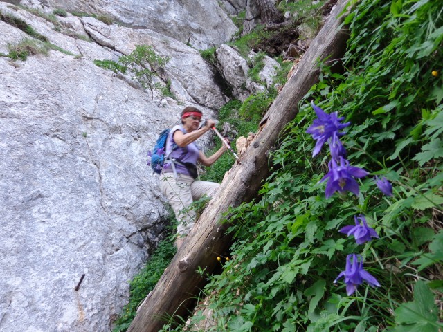 Kalška gora - bivša plezalna smer, 21.06.2019 - foto