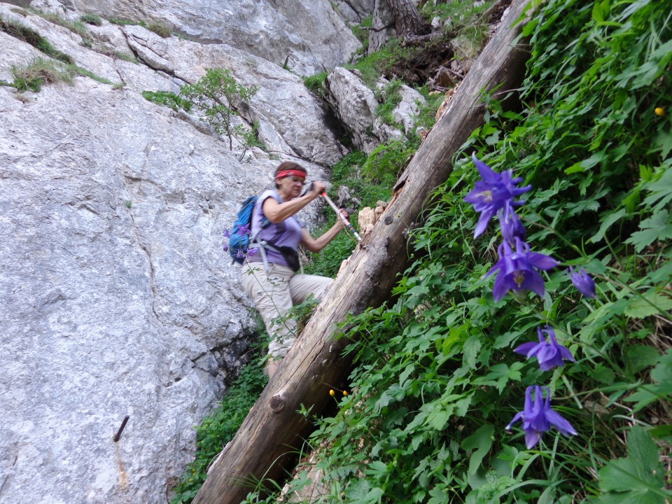 Kalška gora - bivša plezalna smer, 21.06.2019 - foto povečava