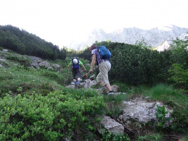 Kalška gora - bivša plezalna smer, 21.06.2019 - foto