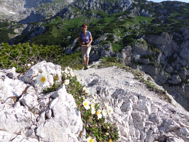 Kalška gora - bivša plezalna smer, 21.06.2019 - foto