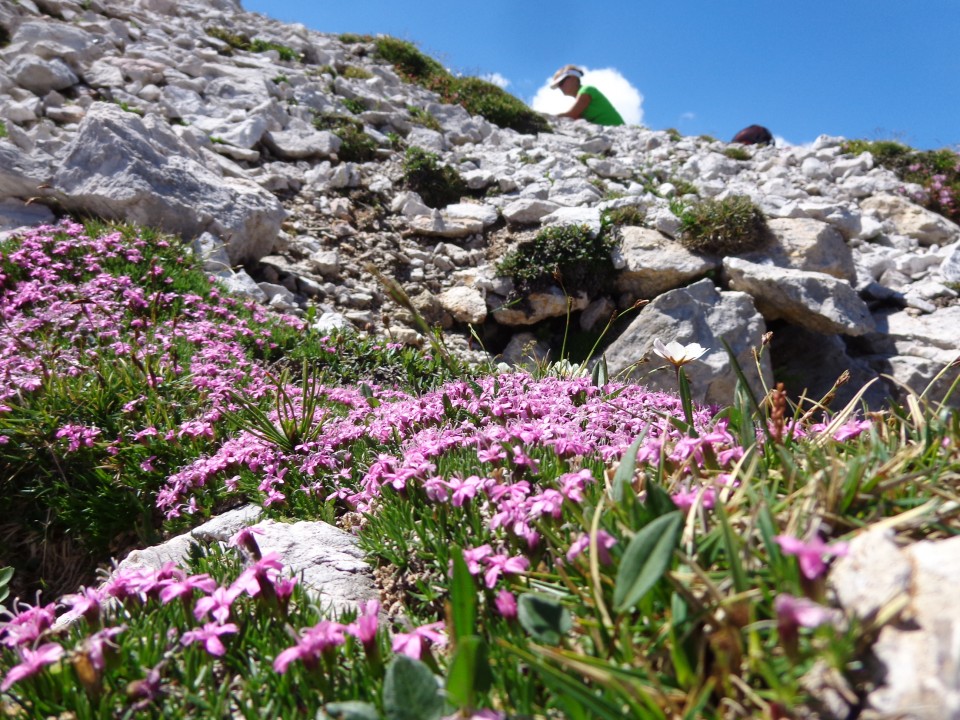 Ledine - Jezersko sedlo, 26.06.2019 - foto povečava