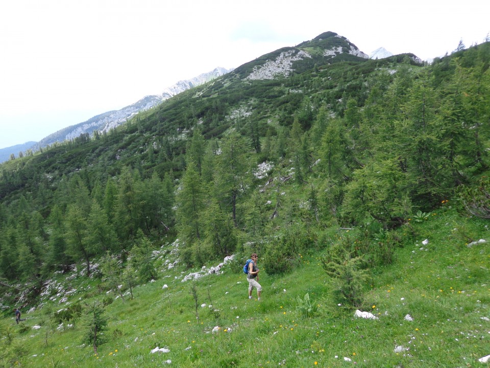 Planina Lipanca, 19.07.2019 - foto povečava