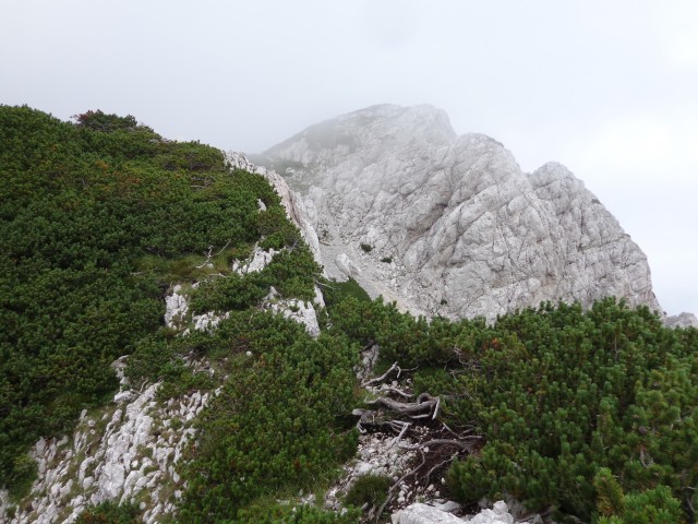 Nad Suhim rušjem, 01.08.2019 - foto