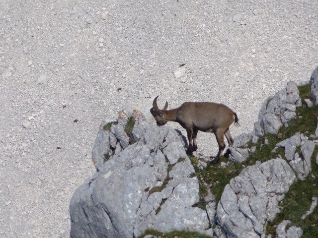 Špik Hude pol. - C. di Terrarossa, 16.08.2019 - foto