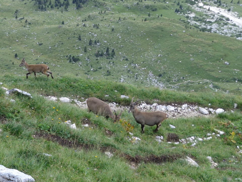 Špik Hude pol. - C. di Terrarossa, 16.08.2019 - foto povečava