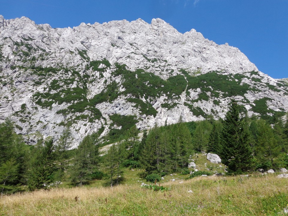 Kamniško sedlo, 19.08.2019 - foto povečava