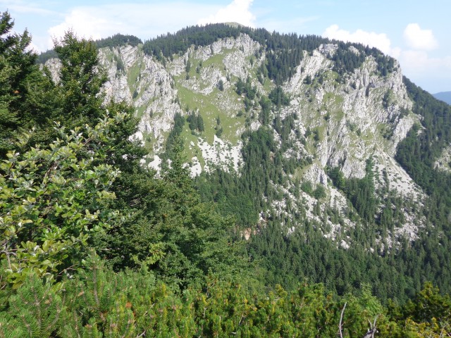 Ratitovec - grebenska, 31.08.2019 - foto