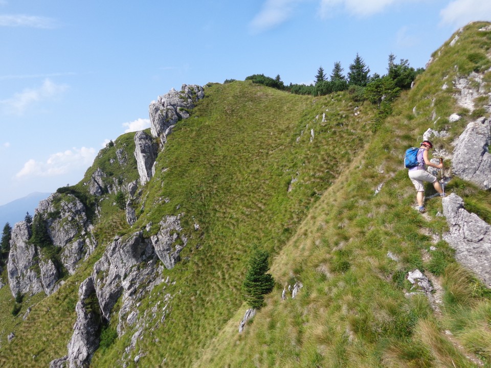 Ratitovec - grebenska, 31.08.2019 - foto povečava