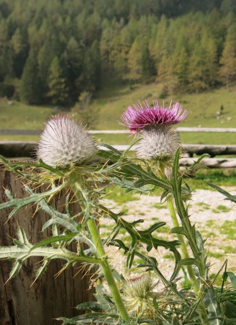 Planina Konjščica, 28.09.2019 - foto