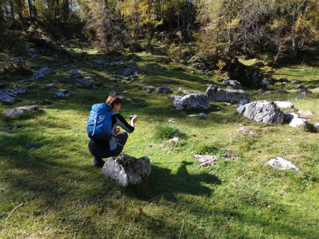 Pl. Lipanca, Brda, 11.10.2019 - foto