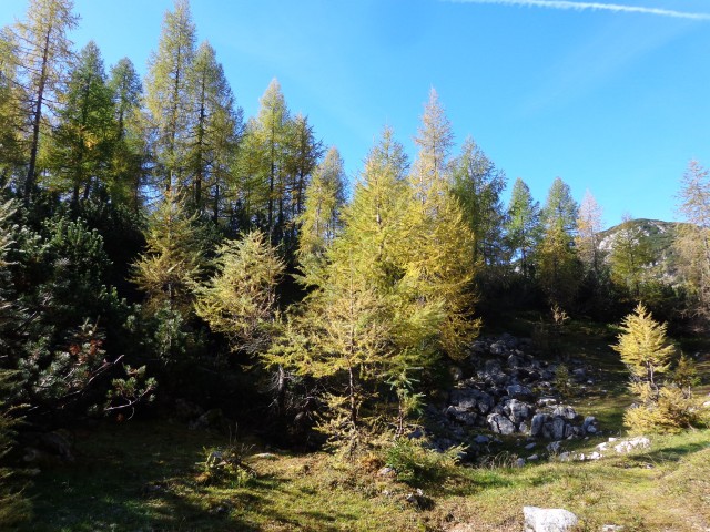 Pl. Lipanca, Brda, 11.10.2019 - foto