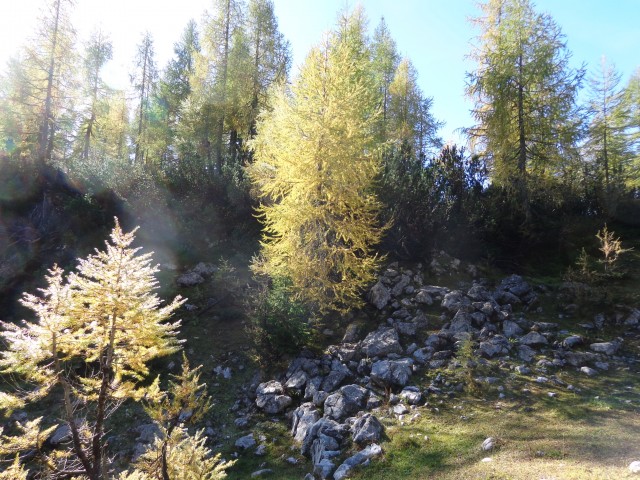 Pl. Lipanca, Brda, 11.10.2019 - foto