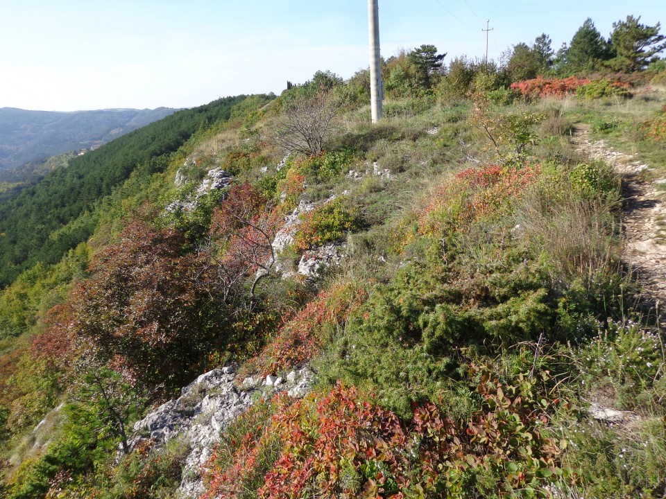 Sočerga, Veli Badin, 22.10.2019 - foto povečava