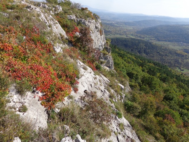 Sočerga, Veli Badin, 22.10.2019 - foto