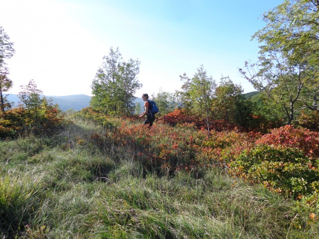 Sočerga, Veli Badin, 22.10.2019 - foto