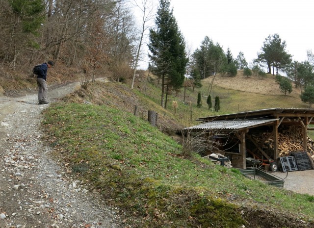 Polhograjska Grmada, 20.02.2020 - foto