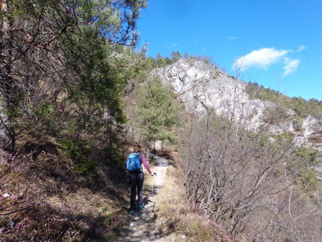 Polhograjska Grmada, 28.02.2020 - foto