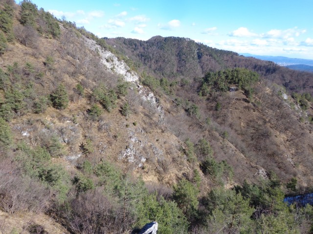 Polhograjska Grmada, 28.02.2020 - foto