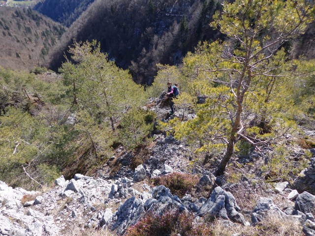 Polhograjska Grmada, 28.02.2020 - foto