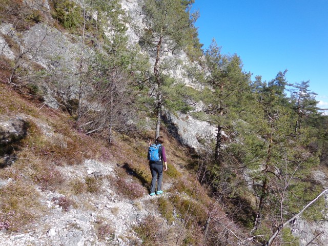 Polhograjska Grmada, 28.02.2020 - foto
