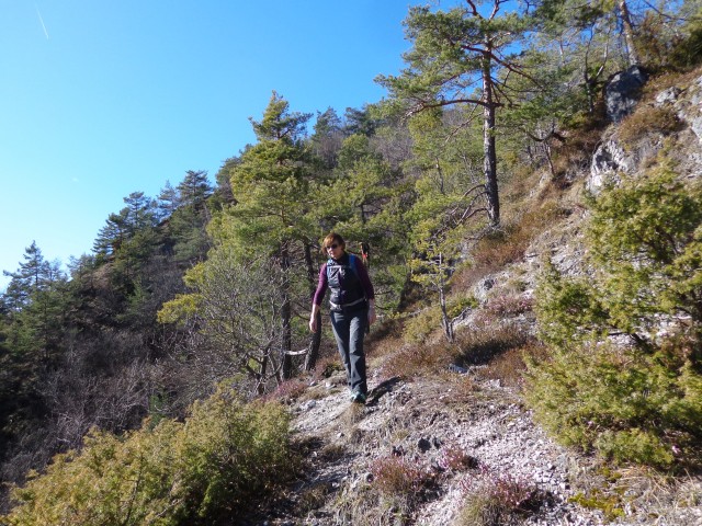 Polhograjska Grmada, 28.02.2020 - foto