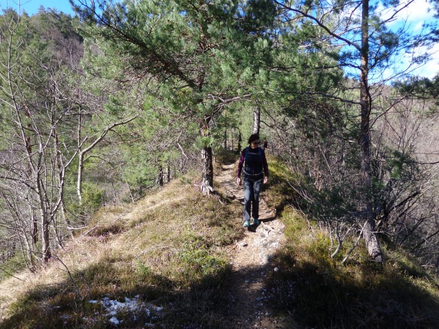 Polhograjska Grmada, 28.02.2020 - foto