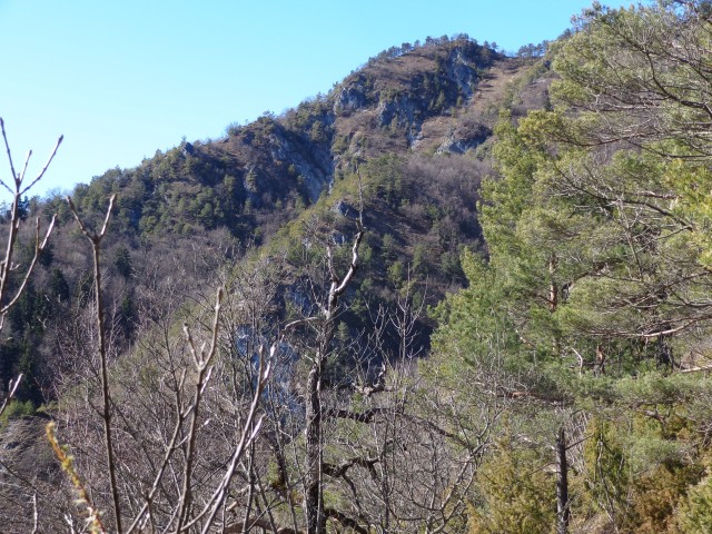 Polhograjska Grmada, 28.02.2020 - foto