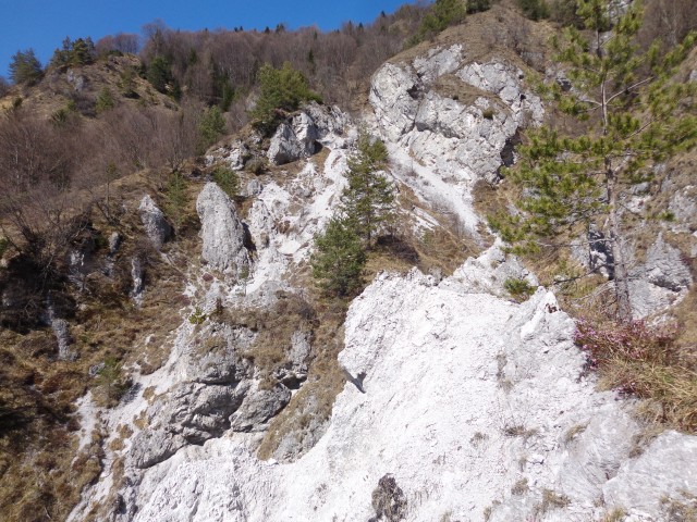 Kamniški vrh, 20.03.2020 - foto