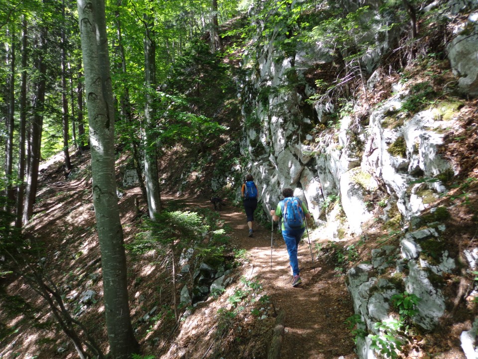 Bornovi tuneli, 02.06.2020 - foto povečava