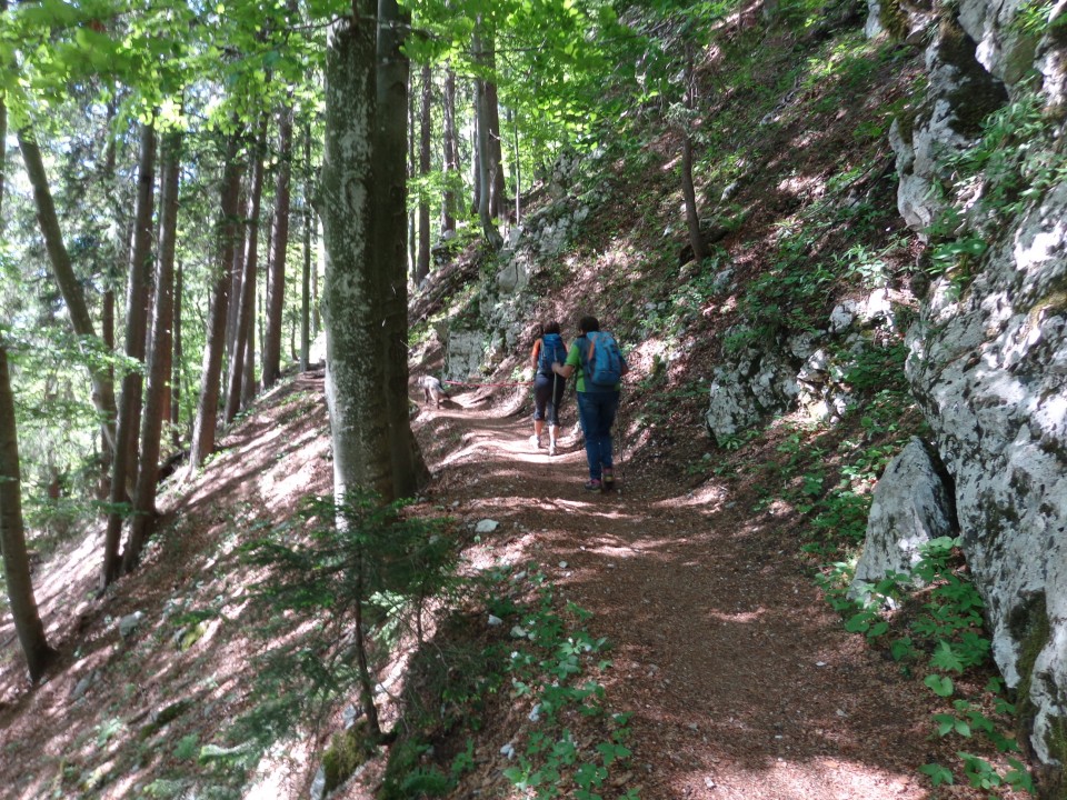 Bornovi tuneli, 02.06.2020 - foto povečava