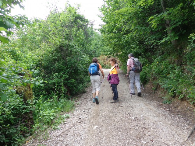 Gontarska planina, 06.06.2020 - foto