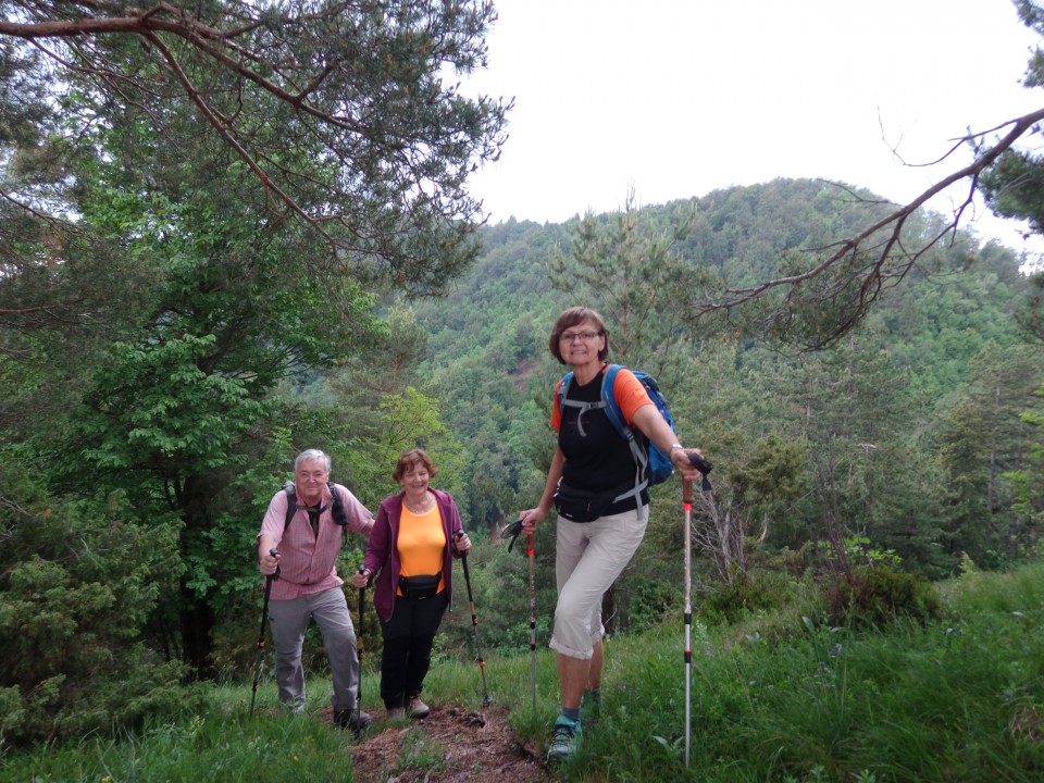 Gontarska planina, 06.06.2020 - foto povečava