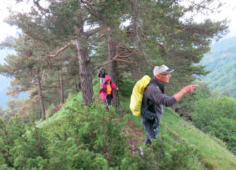 Gontarska planina, 06.06.2020 - foto povečava