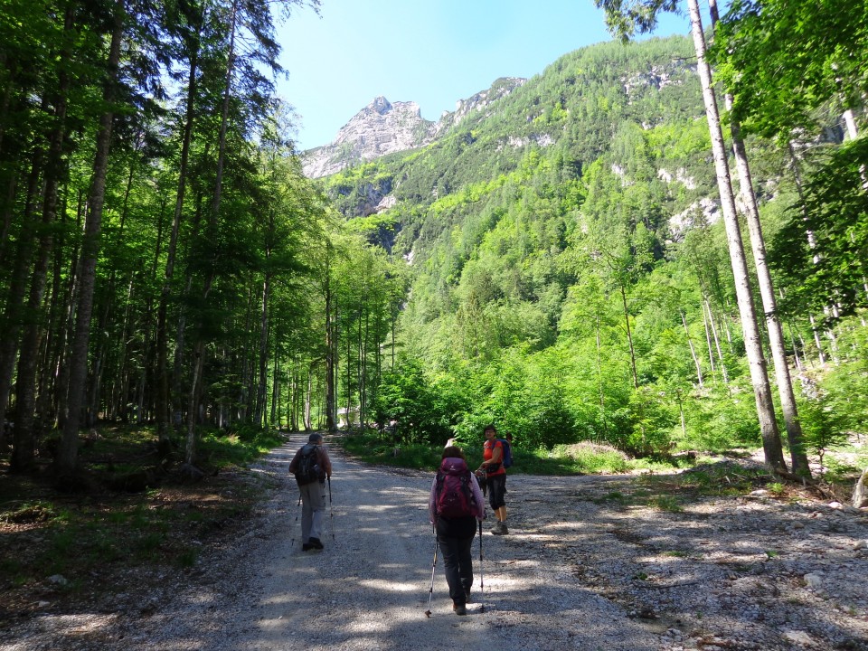 Češka koča, 12.06.2020 - foto povečava