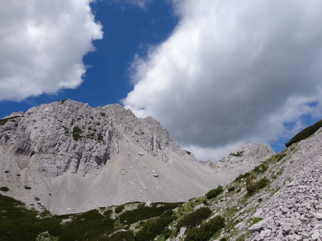 Zelenjak ali Nemški vrh ali Pautz, 22.06.2020 - foto