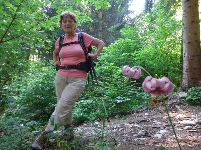 Orožnova koča, Lisec, 28.06.2020 - foto