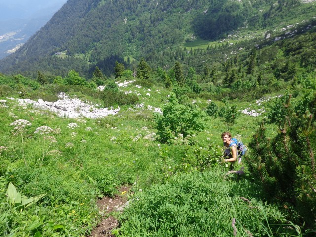 Orožnova koča, Lisec, 28.06.2020 - foto