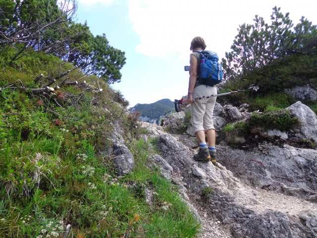 Krvavec-Planina Koren, 04.07.2020 - foto