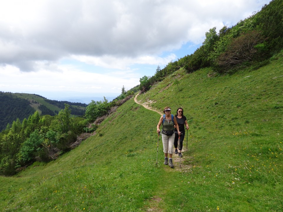 Krvavec-Planina Koren, 04.07.2020 - foto povečava