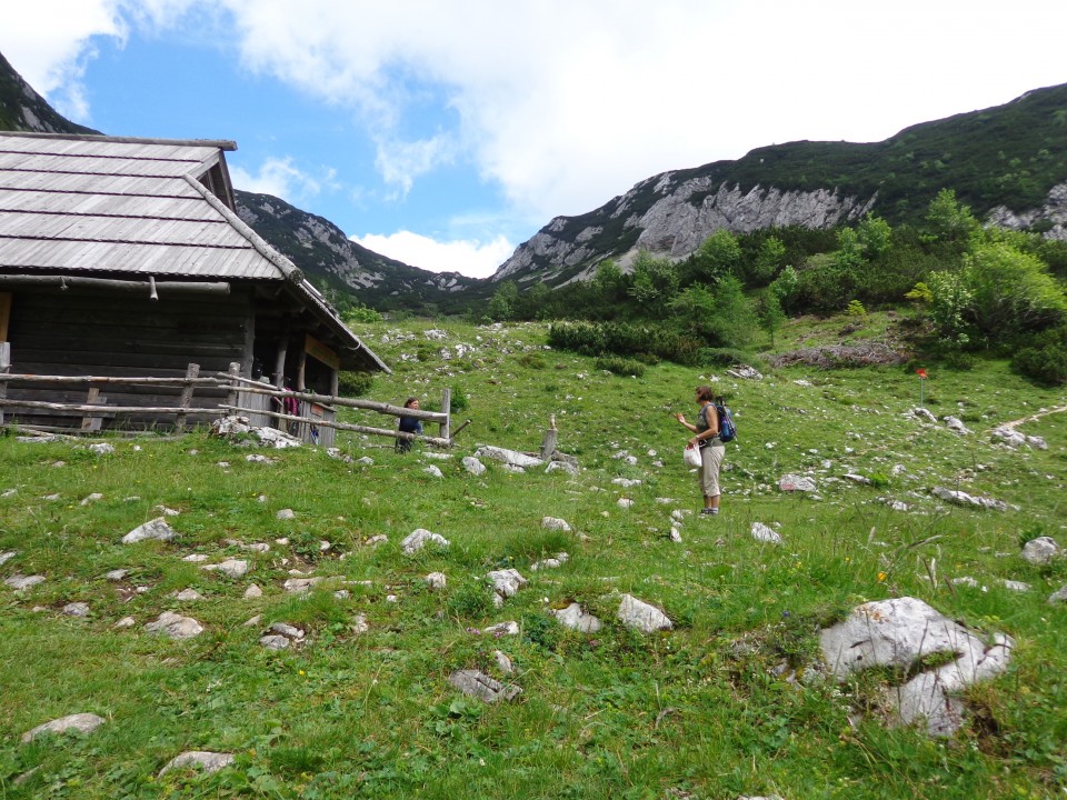 Krvavec-Planina Koren, 04.07.2020 - foto povečava