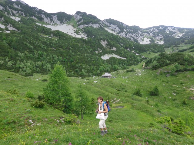Krvavec-Planina Koren, 04.07.2020 - foto