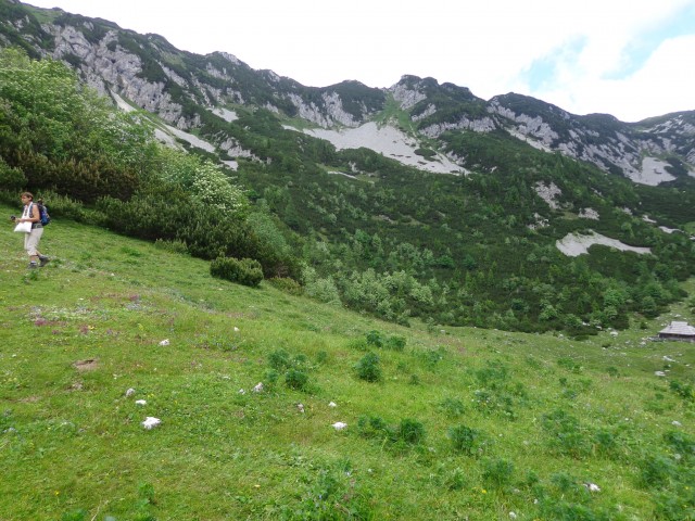 Krvavec-Planina Koren, 04.07.2020 - foto