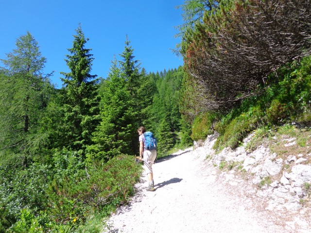 Vrhovi nad Pokljuko, 07.07.2020 - foto