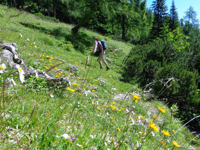 Vrhovi nad Pokljuko, 07.07.2020 - foto
