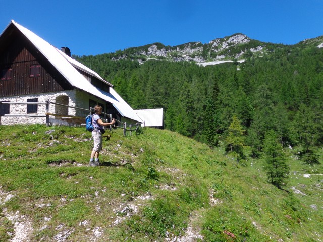 Vrhovi nad Pokljuko, 07.07.2020 - foto