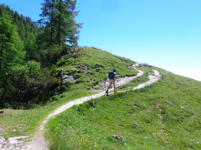 Vrhovi nad Pokljuko, 07.07.2020 - foto