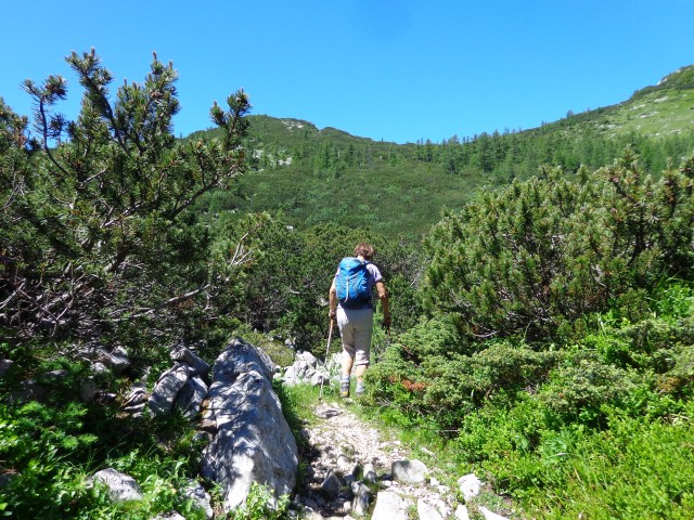 Vrhovi nad Pokljuko, 07.07.2020 - foto