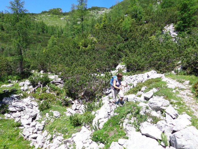Vrhovi nad Pokljuko, 07.07.2020 - foto