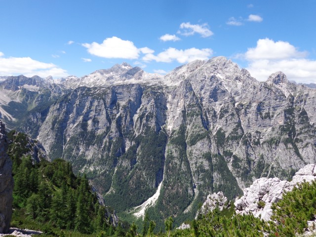 Vrhovi nad Pokljuko, 07.07.2020 - foto