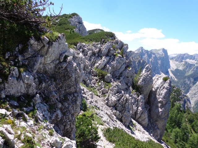 Vrhovi nad Pokljuko, 07.07.2020 - foto